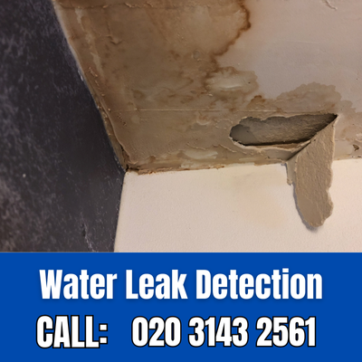 Expert Water Leak Detection Services in Northwood | Northwood Leak Detection